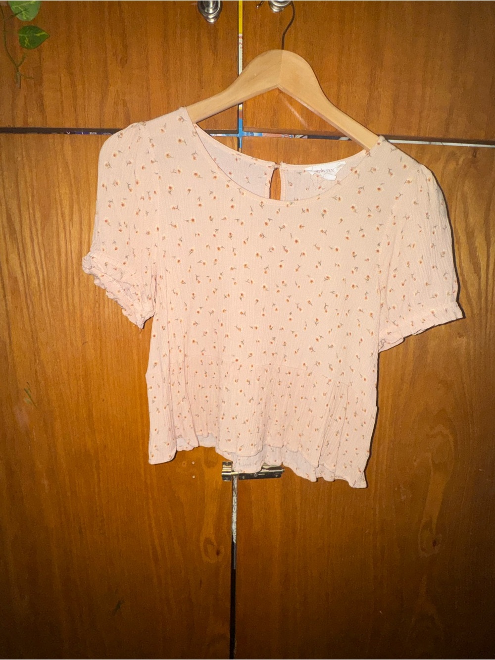 Pink Rose Peach Floral Crop Top - Short Sleeve